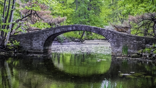 Bridge 5.jpg